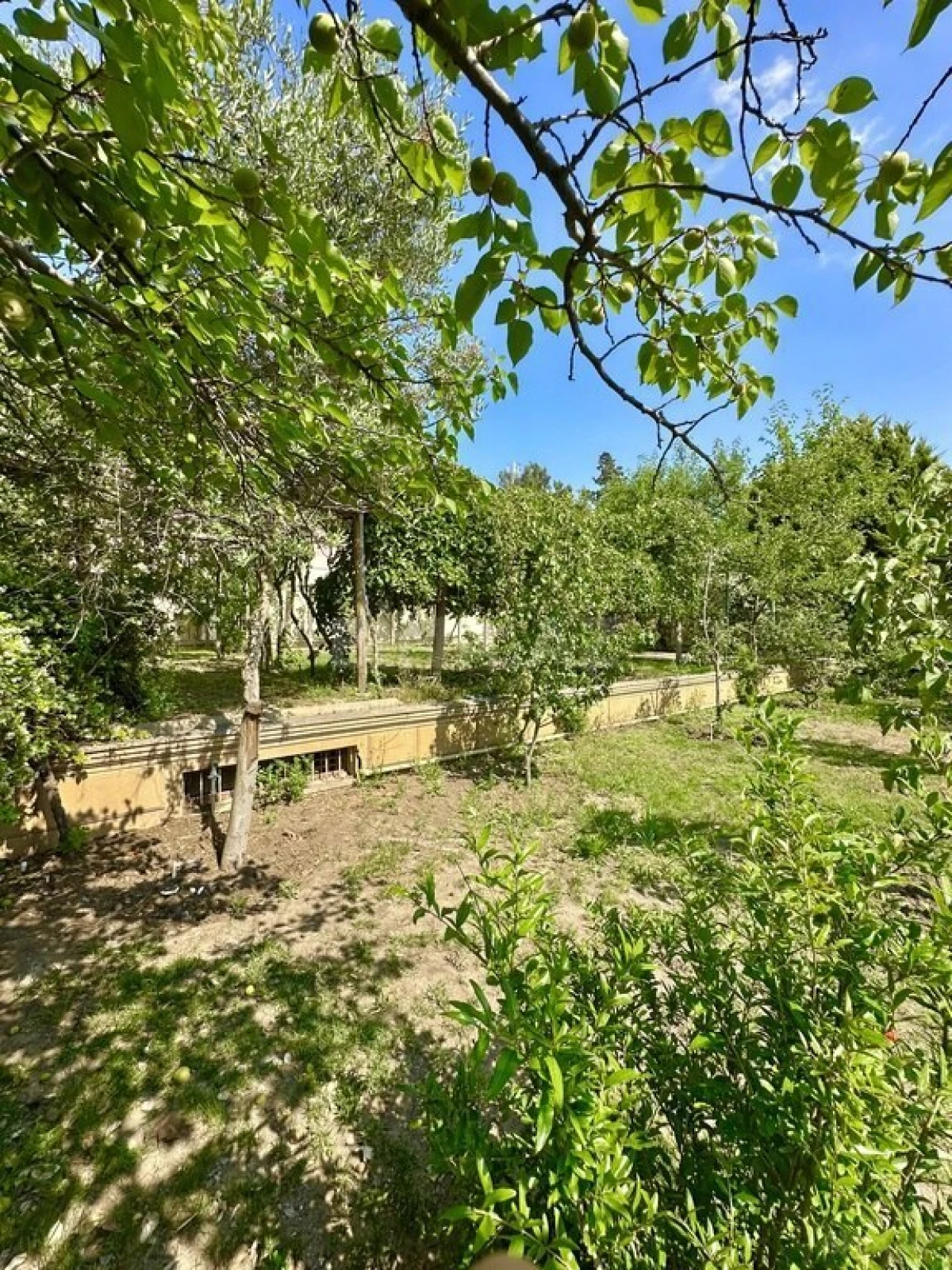 Satılır 7 otaqlı həyət evi 500 m²