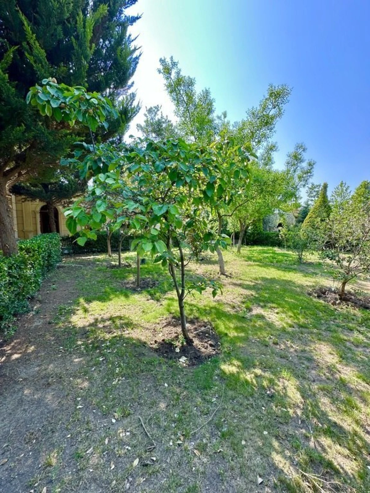 Satılır 7 otaqlı həyət evi 500 m²