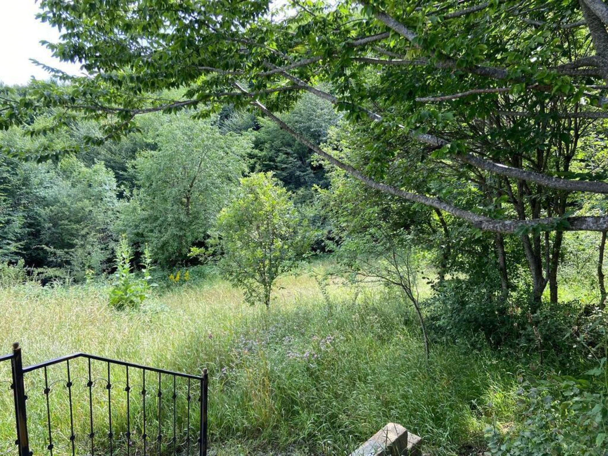 Satılır torpaq sahəsi 12 m²