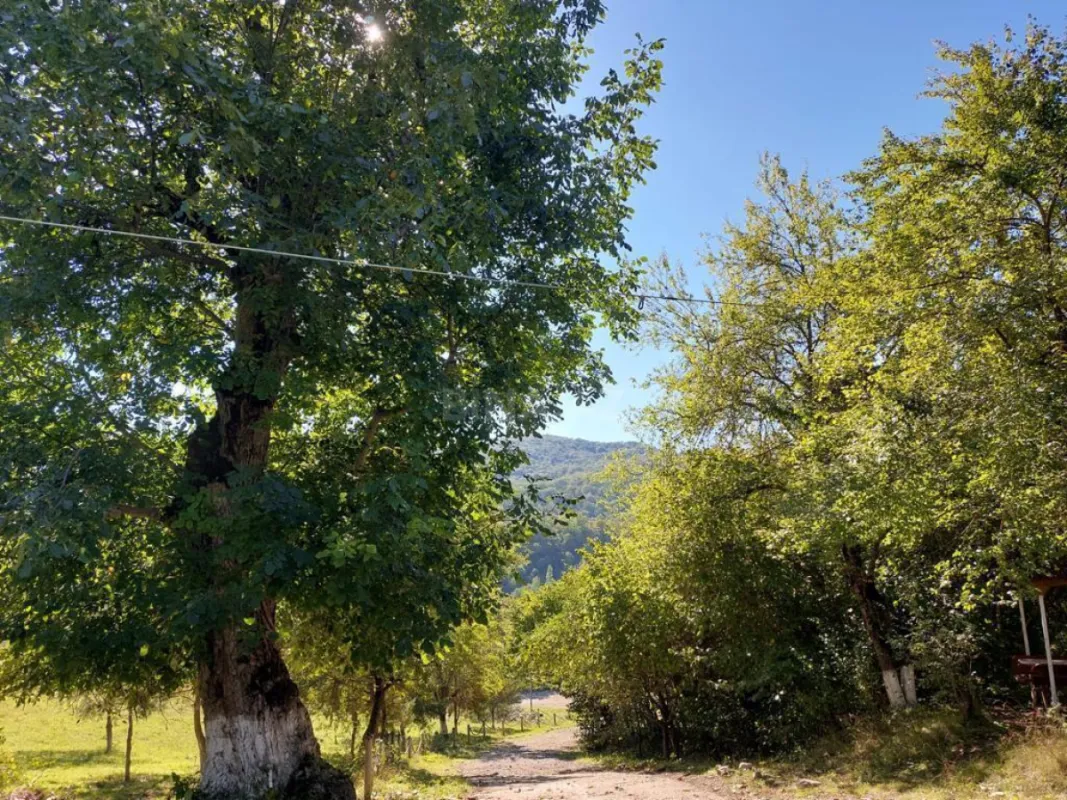 Satılır obyekt 160000 m²