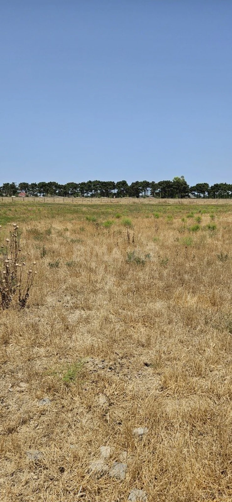 Satılır torpaq sahəsi 150 m²