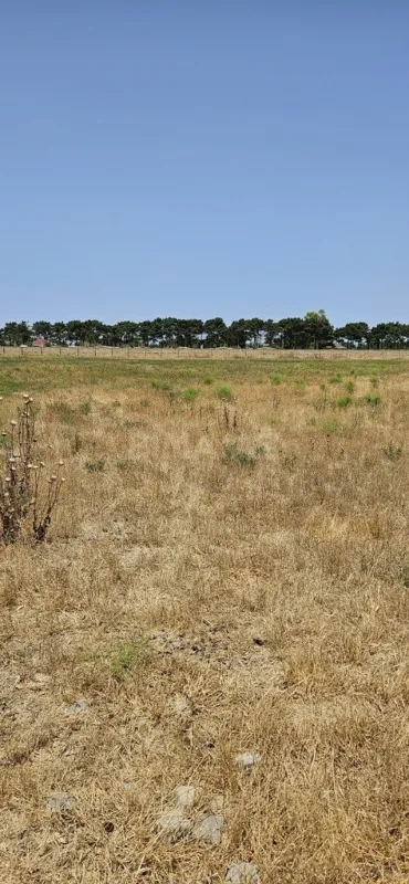 Satılır torpaq sahəsi 150 m²