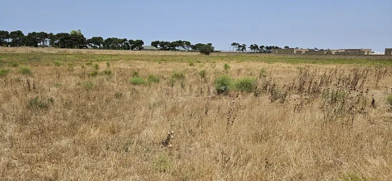 Satılır torpaq sahəsi 150 m²