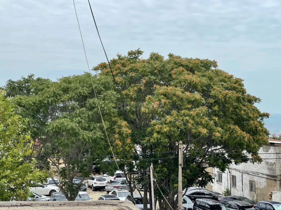 Satılır 3 otaqlı mənzil 100 m²