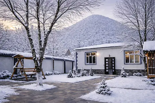 Kirayə verilir 4 otaqlı həyət evi 110 m² — Qəbələ 4 otaq 110.00 m²