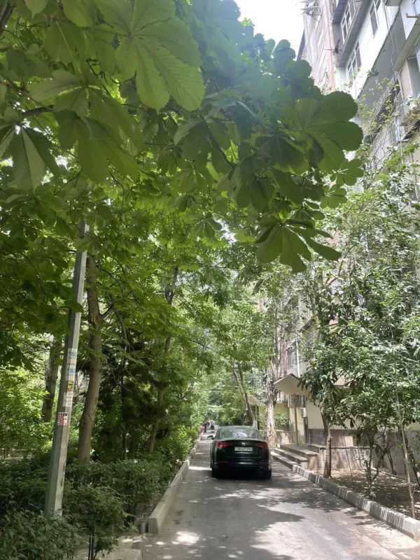 Satılır 4 otaqlı mənzil 100 m²