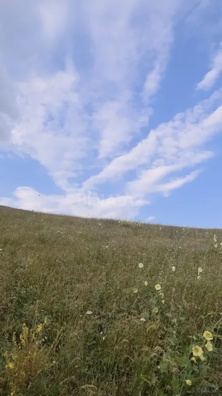 Satılır torpaq sahəsi 53 m²