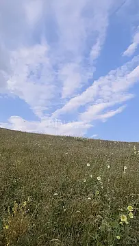 Satılır torpaq sahəsi 53 m²