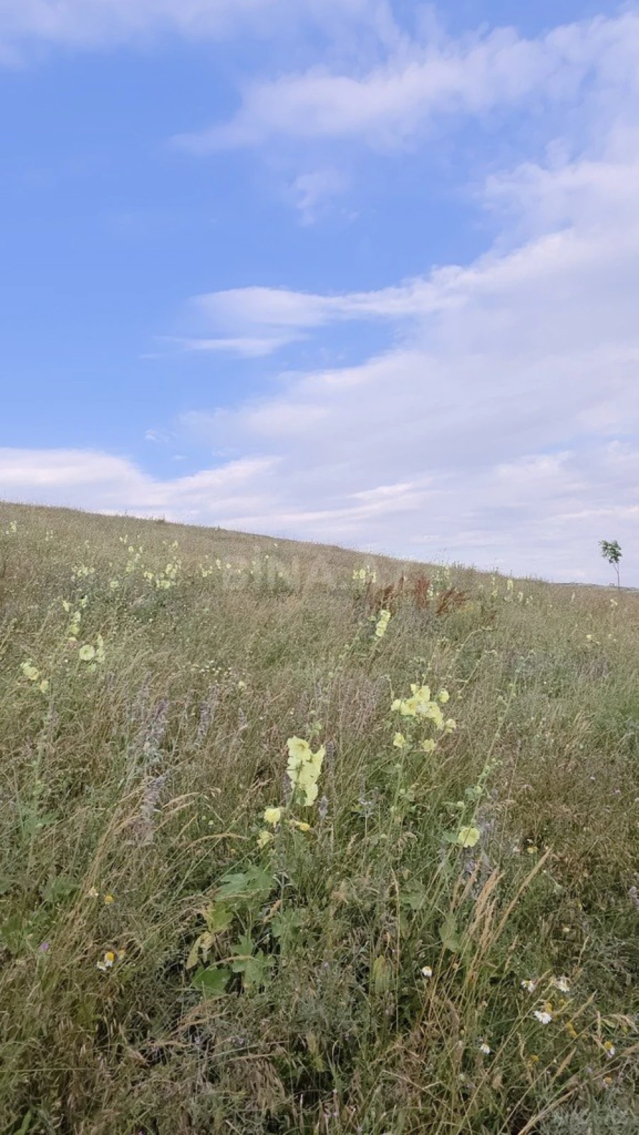 Satılır torpaq sahəsi 53 m²