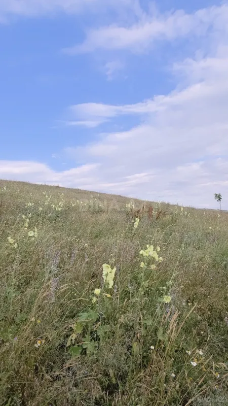 Satılır torpaq sahəsi 53 m²