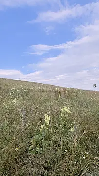 Satılır torpaq sahəsi 53 m²