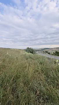 Satılır torpaq sahəsi 53 m²