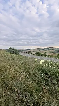 Satılır torpaq sahəsi 53 m² — Şamaxı 53.00 m²