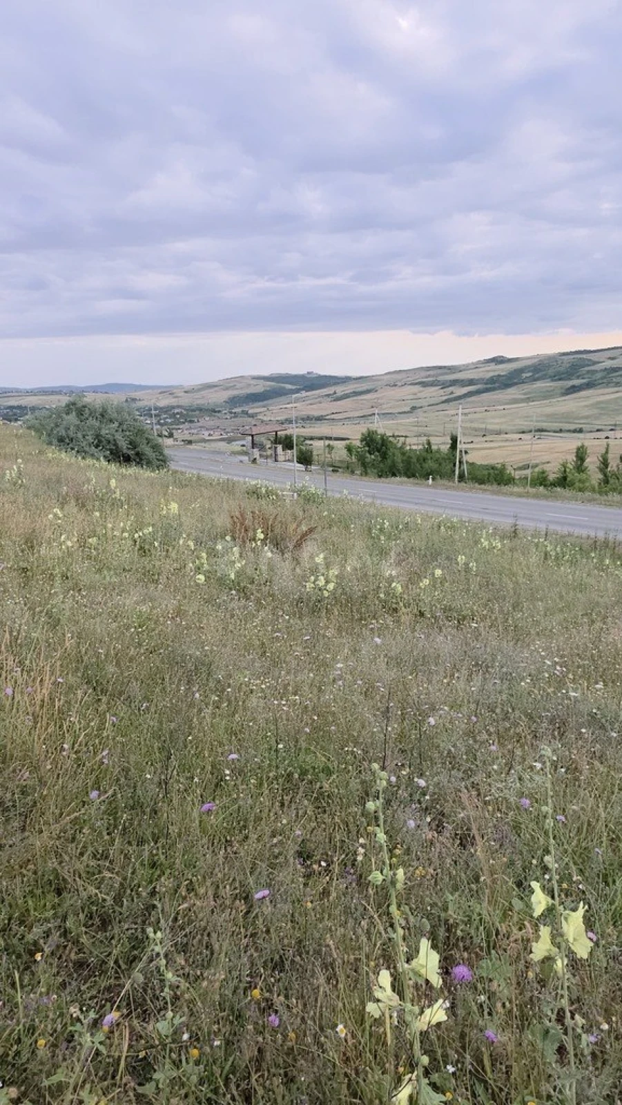 Satılır torpaq sahəsi 53 m²