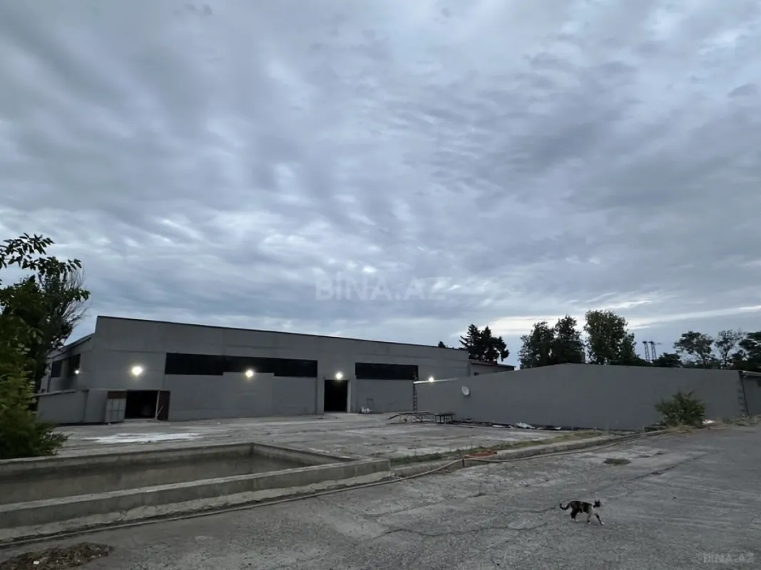 Kirayə verilir obyekt 2800 m²