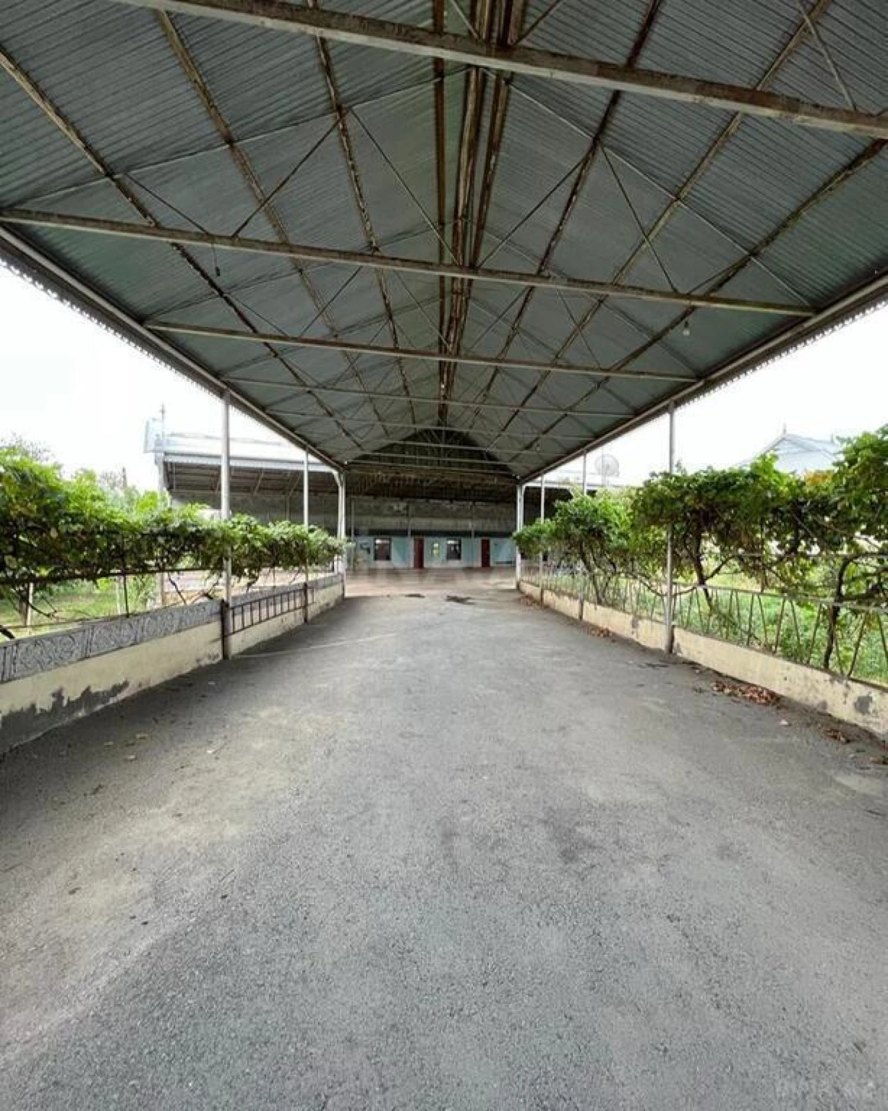 Satılır torpaq sahəsi 46 m²