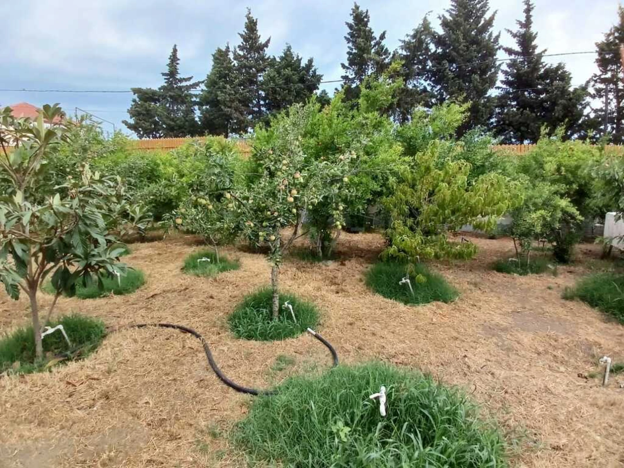 Satılır 5 otaqlı həyət evi 120 m²