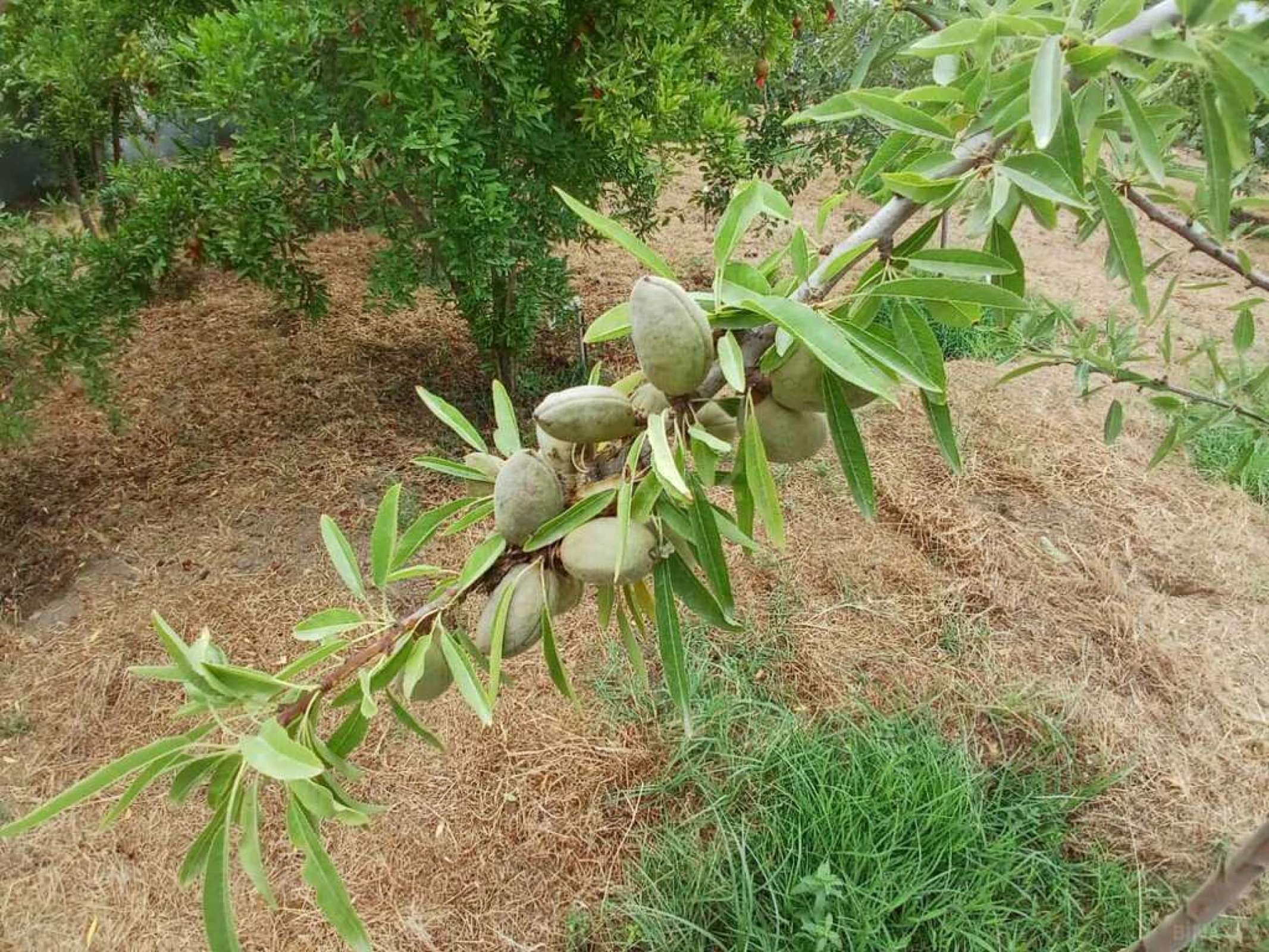 Satılır 5 otaqlı həyət evi 120 m²