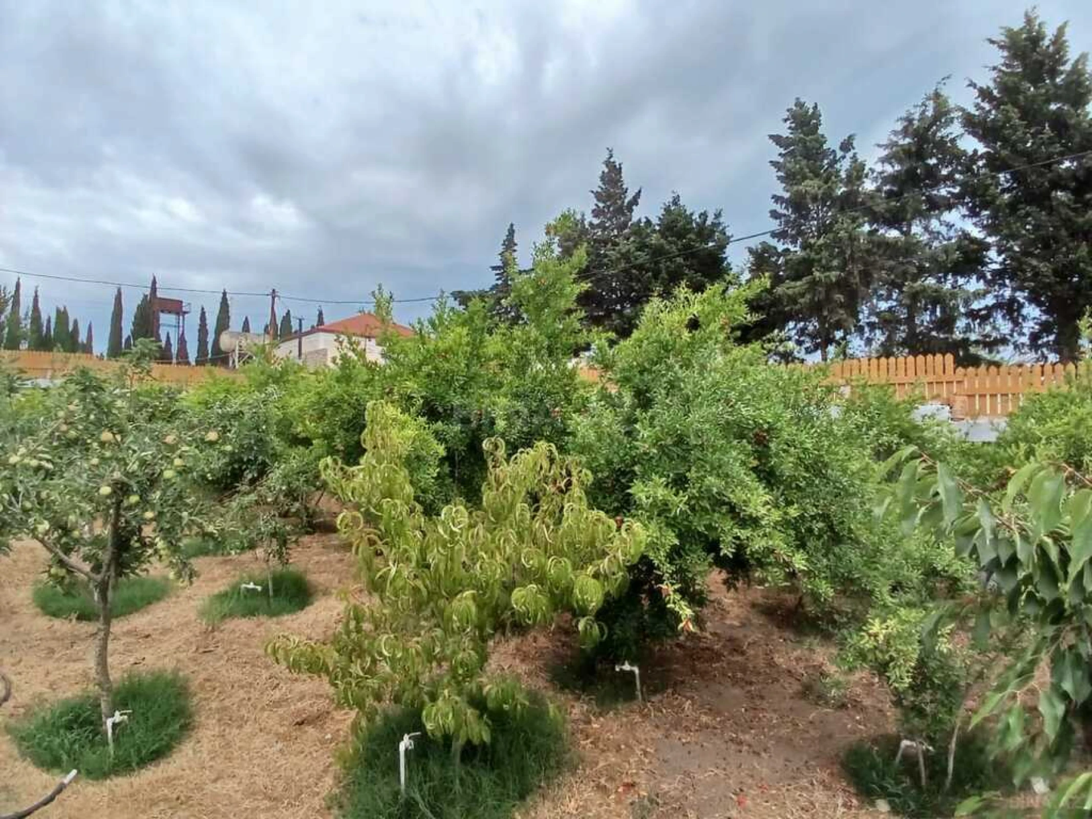 Satılır 5 otaqlı həyət evi 120 m²