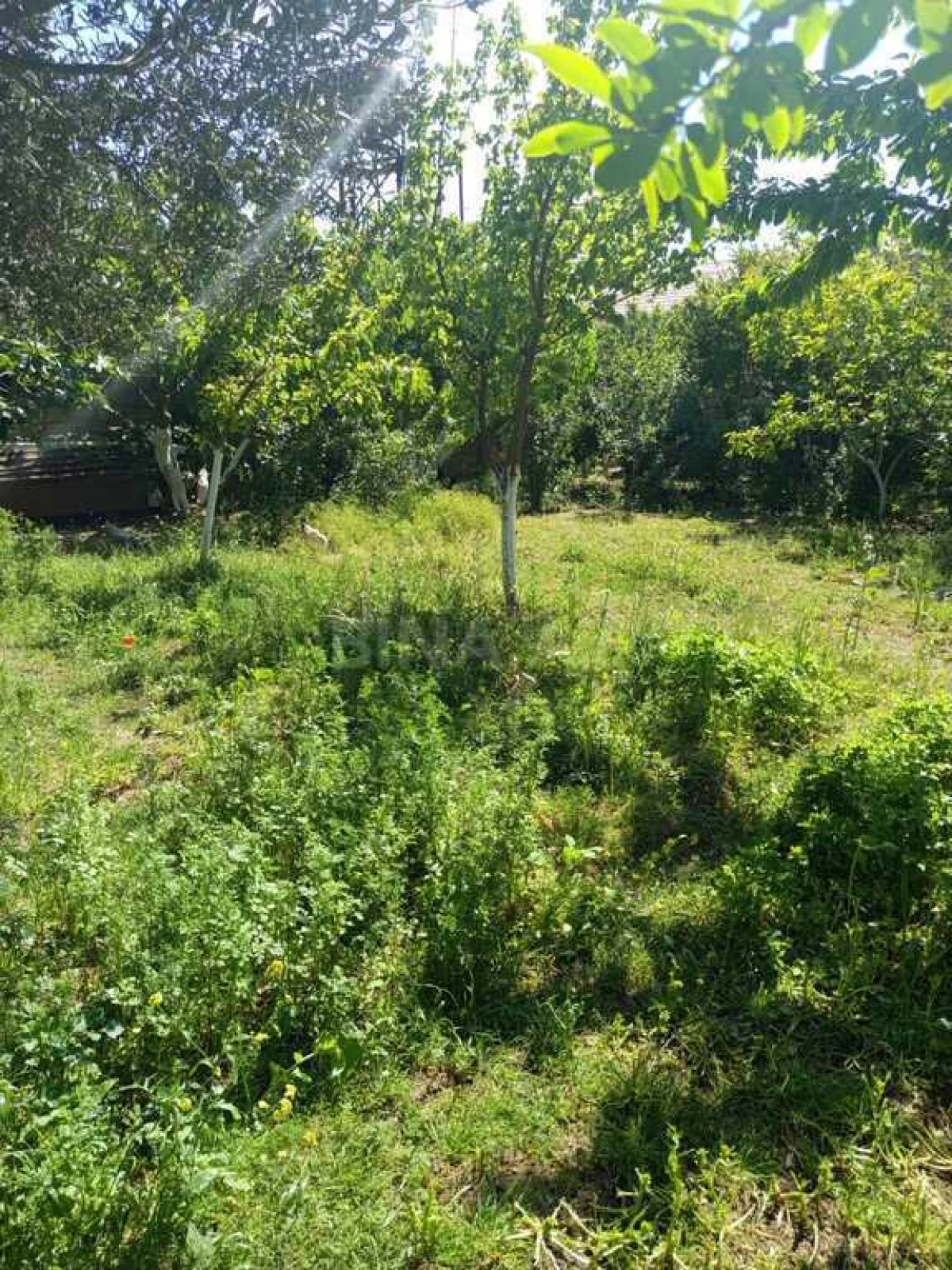 Satılır torpaq sahəsi 5 m²