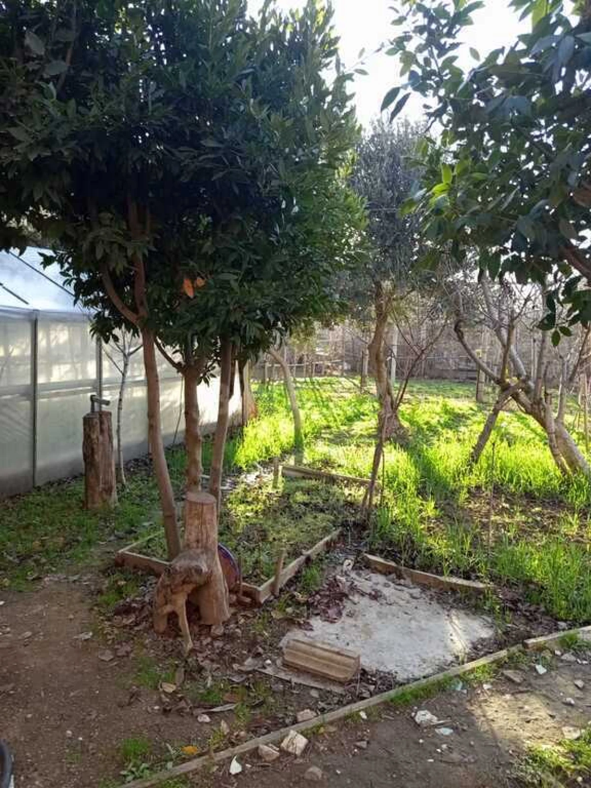 Satılır torpaq sahəsi 5 m²