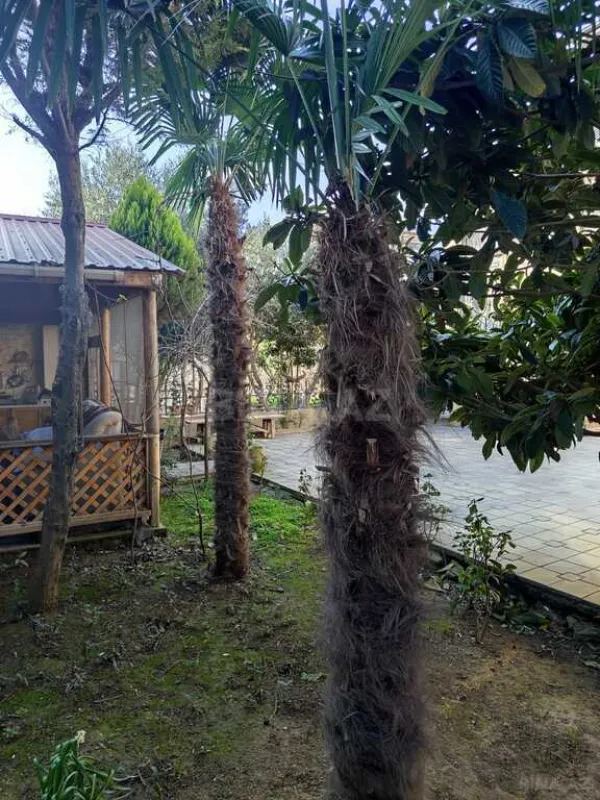 Satılır torpaq sahəsi 5 m²