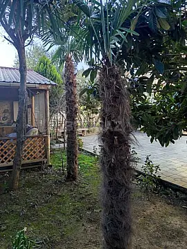 Satılır torpaq sahəsi 5 m²