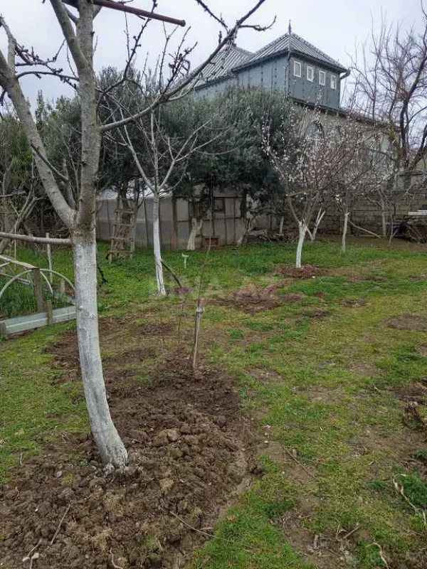 Satılır torpaq sahəsi 5 m²