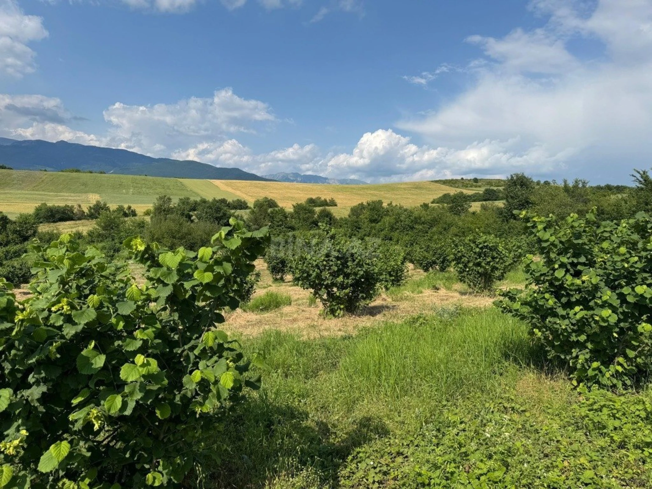 Satılır torpaq sahəsi 2000 m²