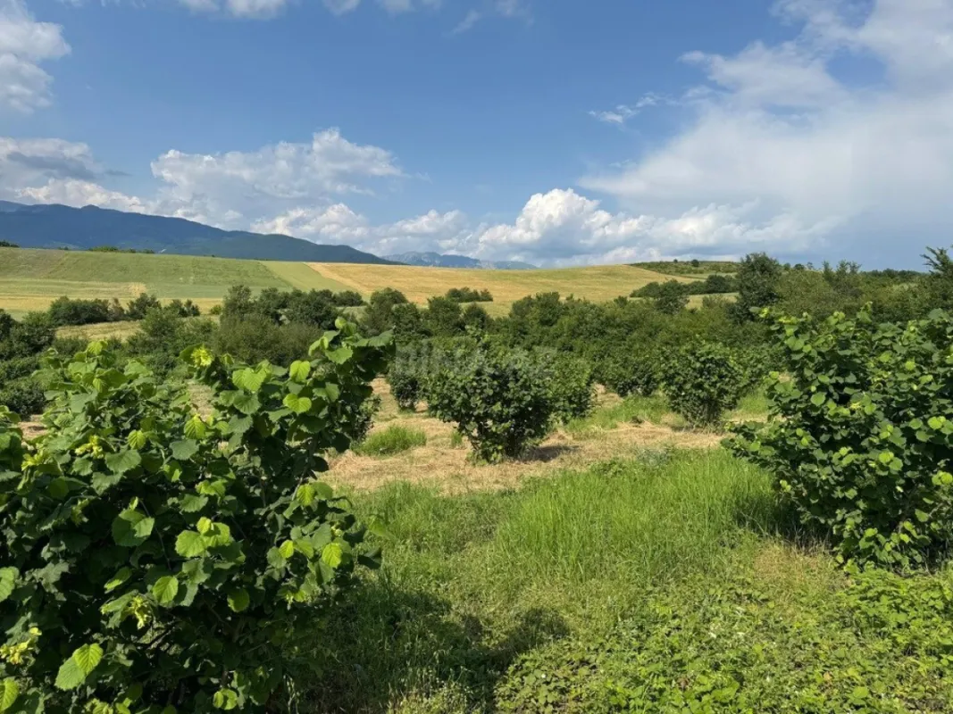 Satılır torpaq sahəsi 2000 m²