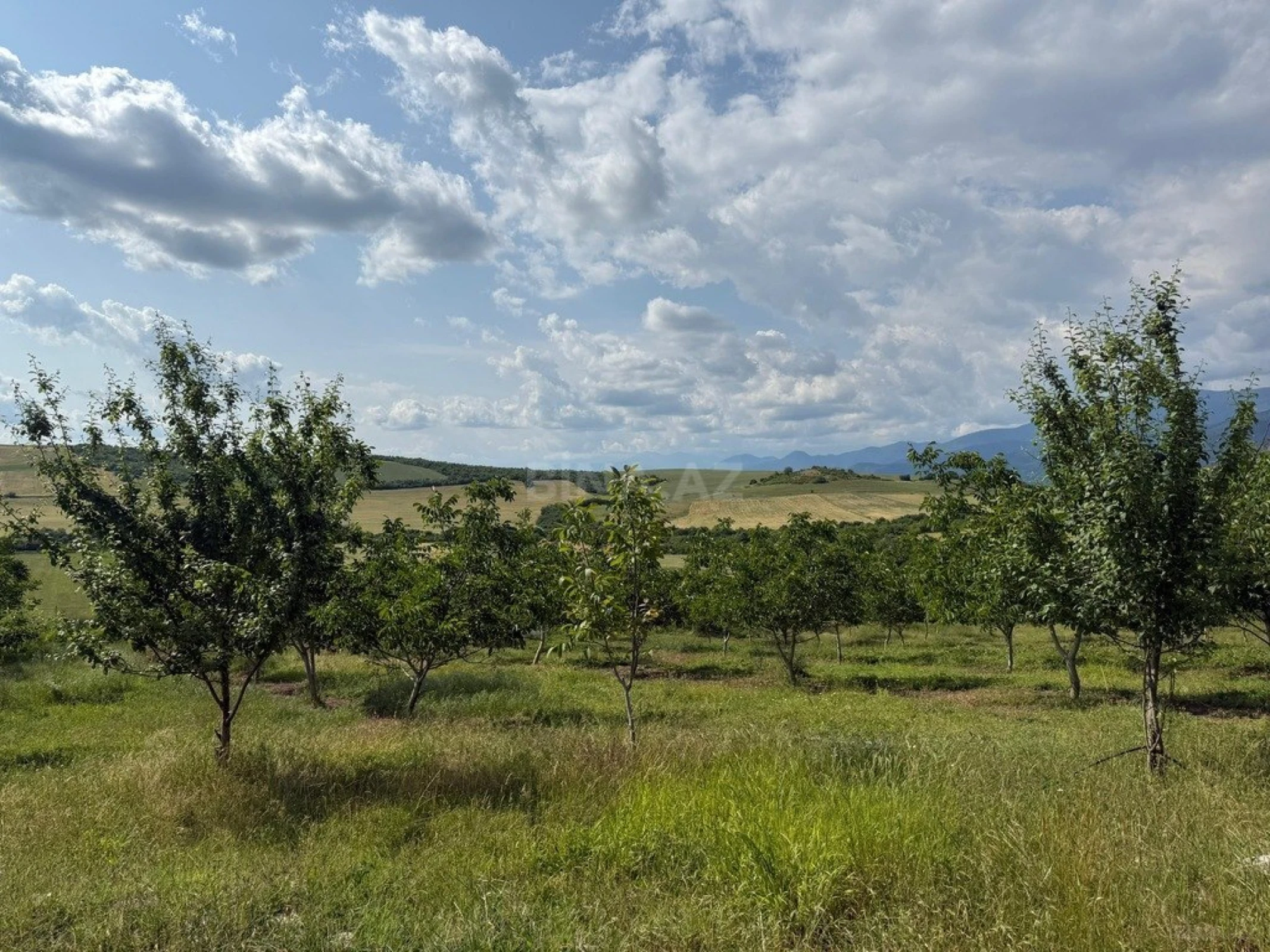 Satılır torpaq sahəsi 2000 m²