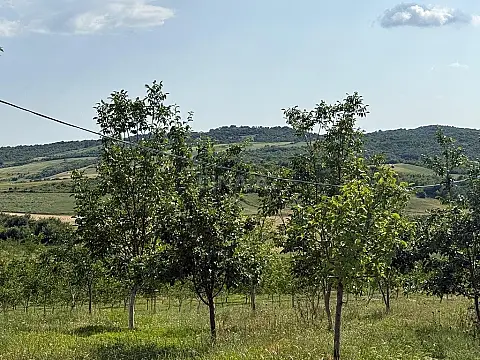 Satılır torpaq sahəsi 2000 m²