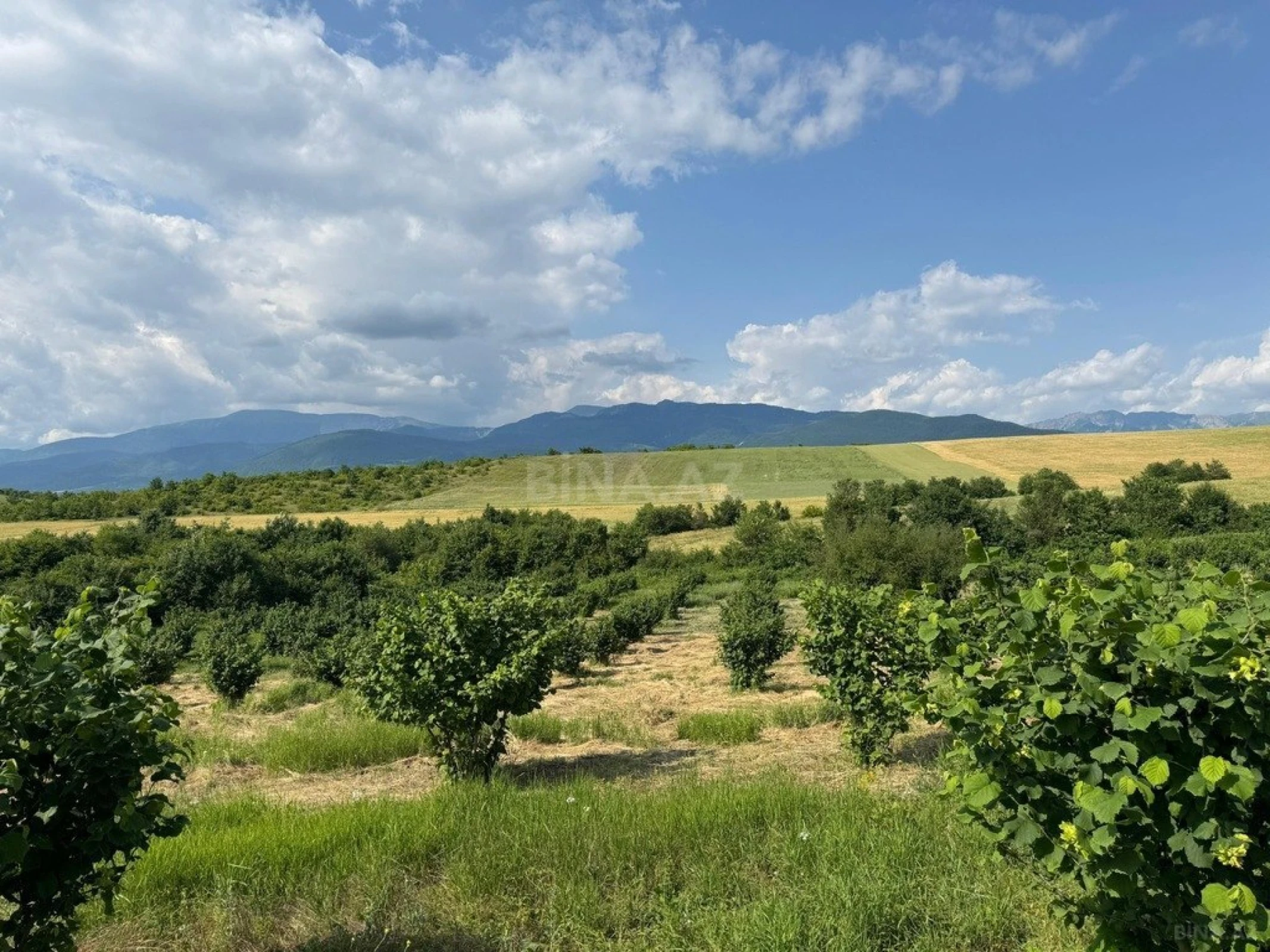 Satılır torpaq sahəsi 2000 m²