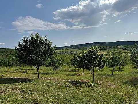 Satılır torpaq sahəsi 2000 m²