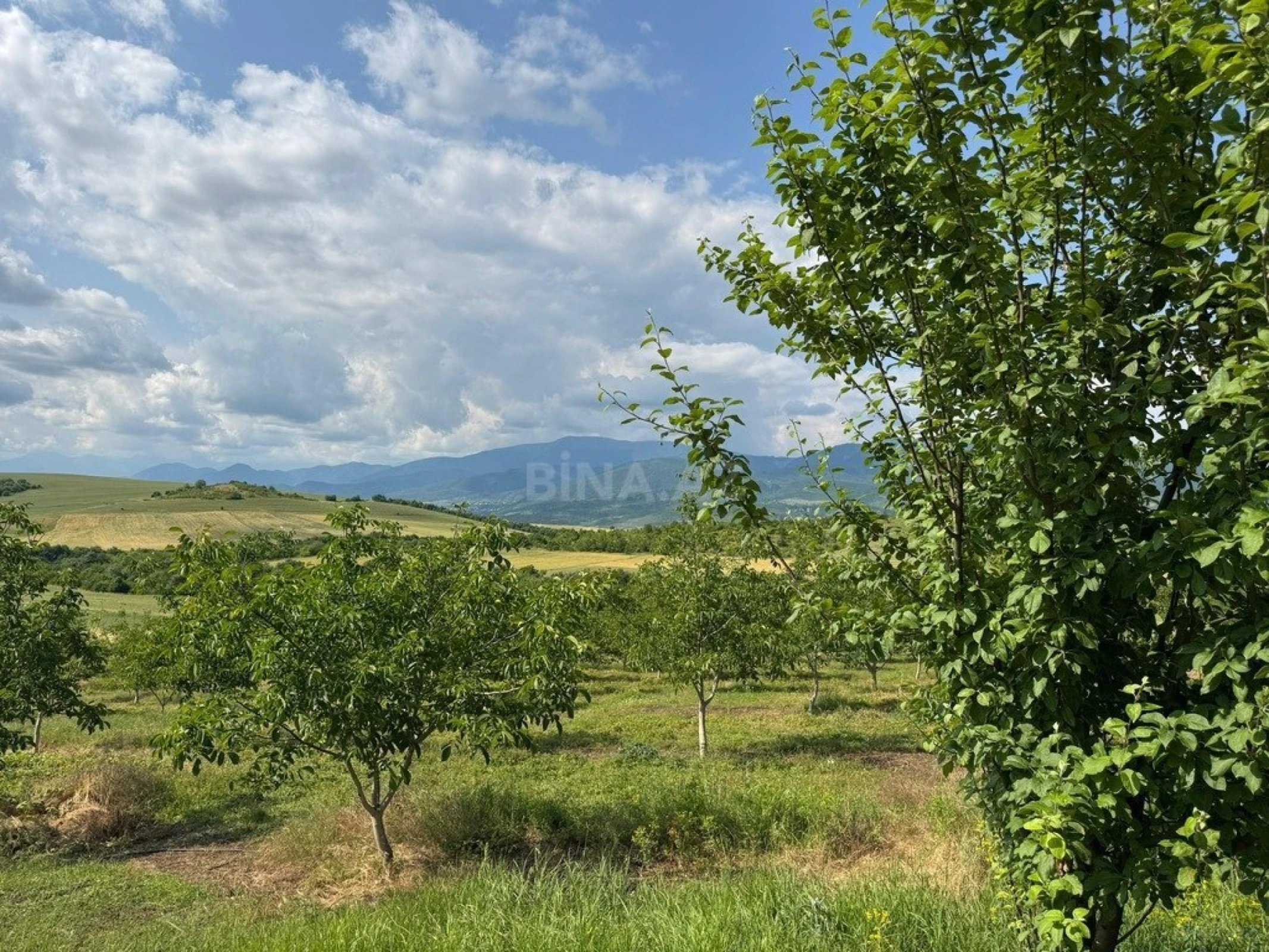 Satılır torpaq sahəsi 2000 m²