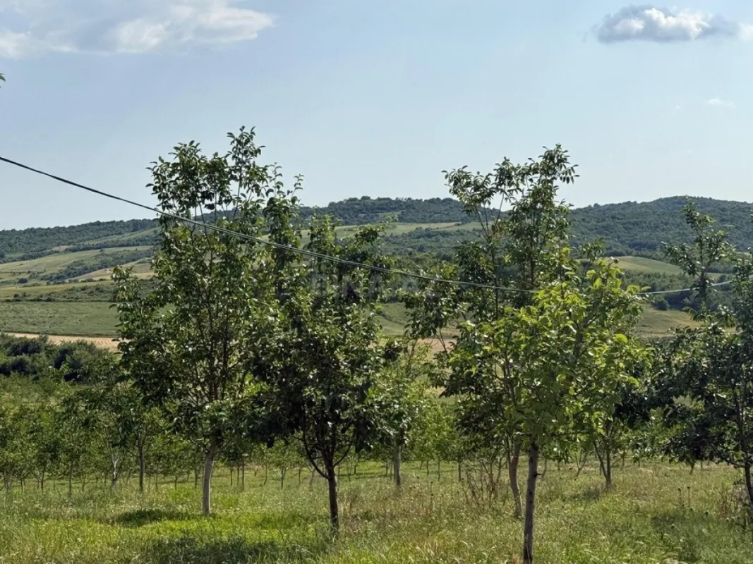 Satılır torpaq sahəsi 2000 m²