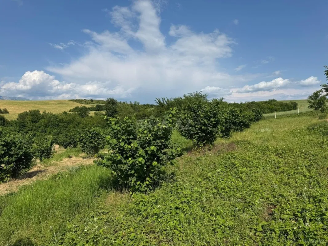 Satılır torpaq sahəsi 2000 m²