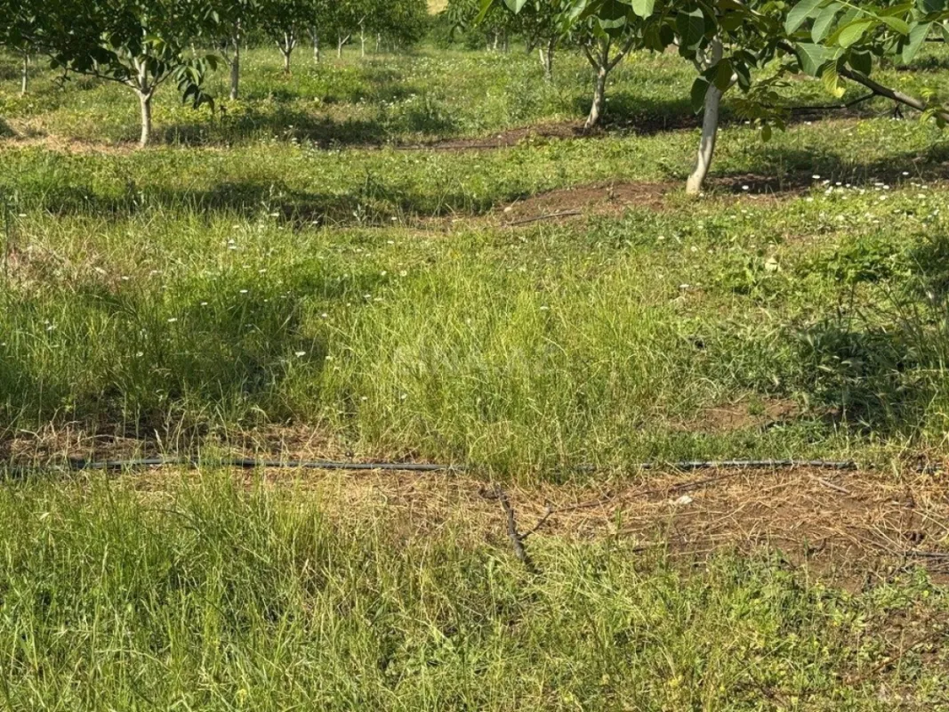 Satılır torpaq sahəsi 2000 m²