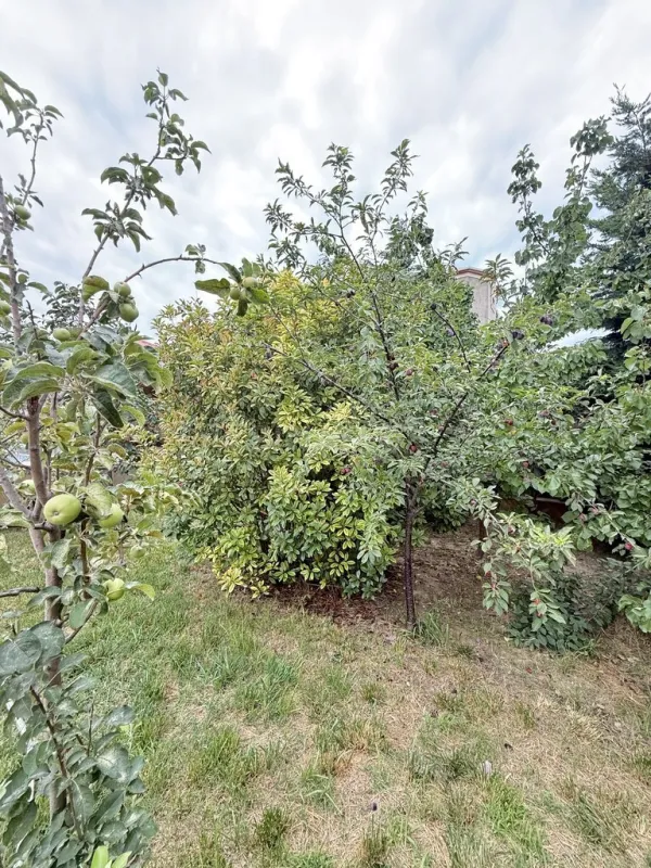 Satılır 5 otaqlı həyət evi 225 m²