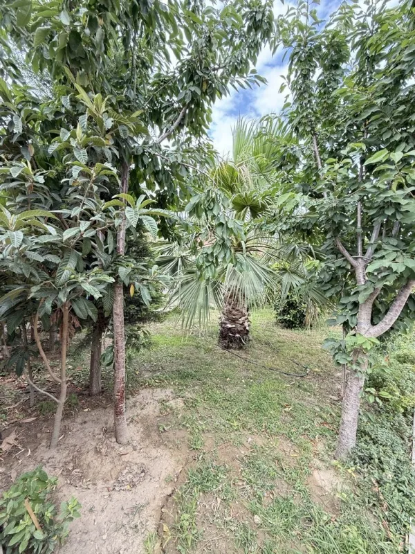 Satılır 5 otaqlı həyət evi 250 m²