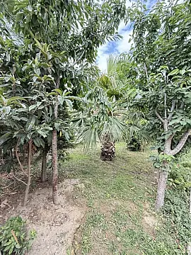 Satılır 5 otaqlı həyət evi 250 m²