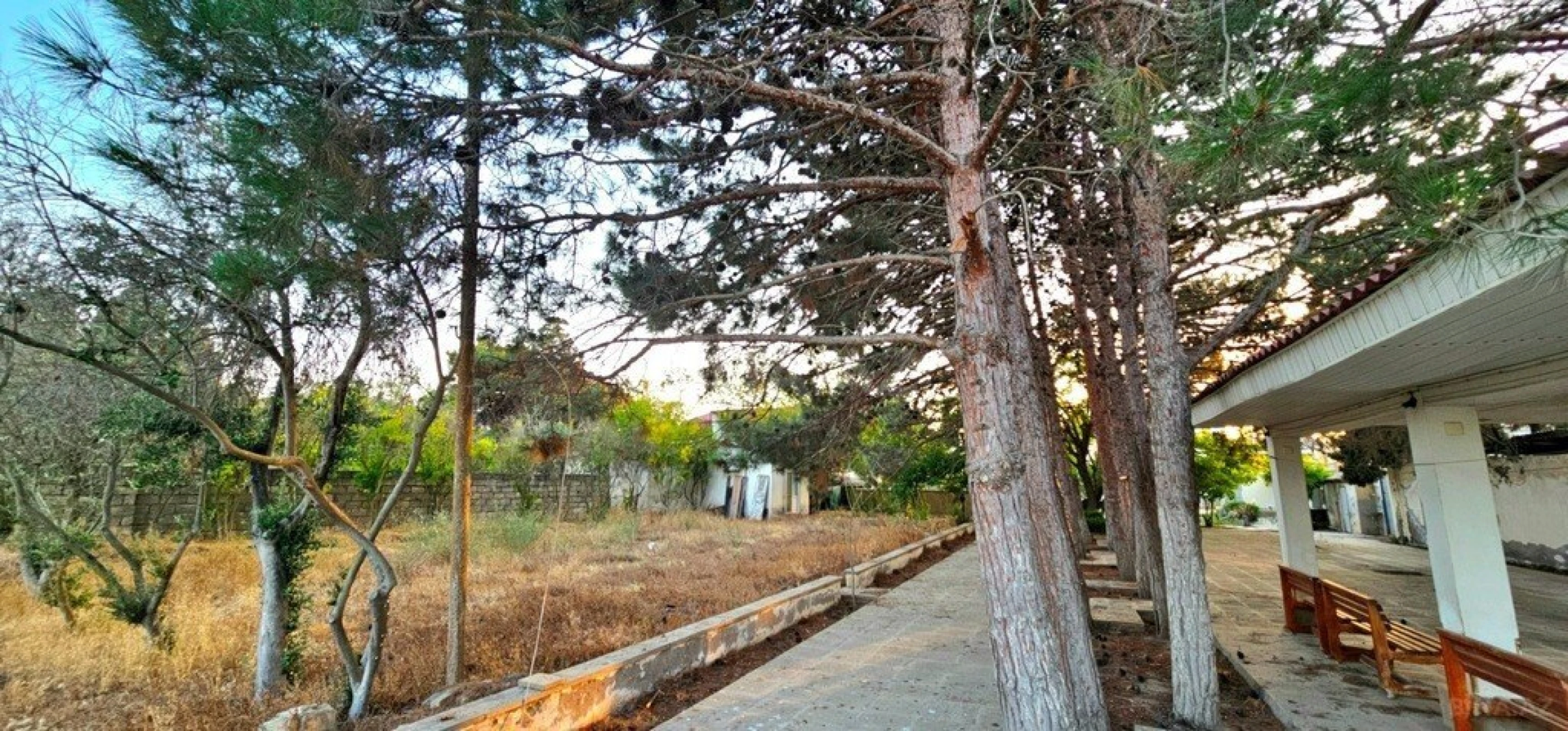 Satılır torpaq sahəsi 25 m²