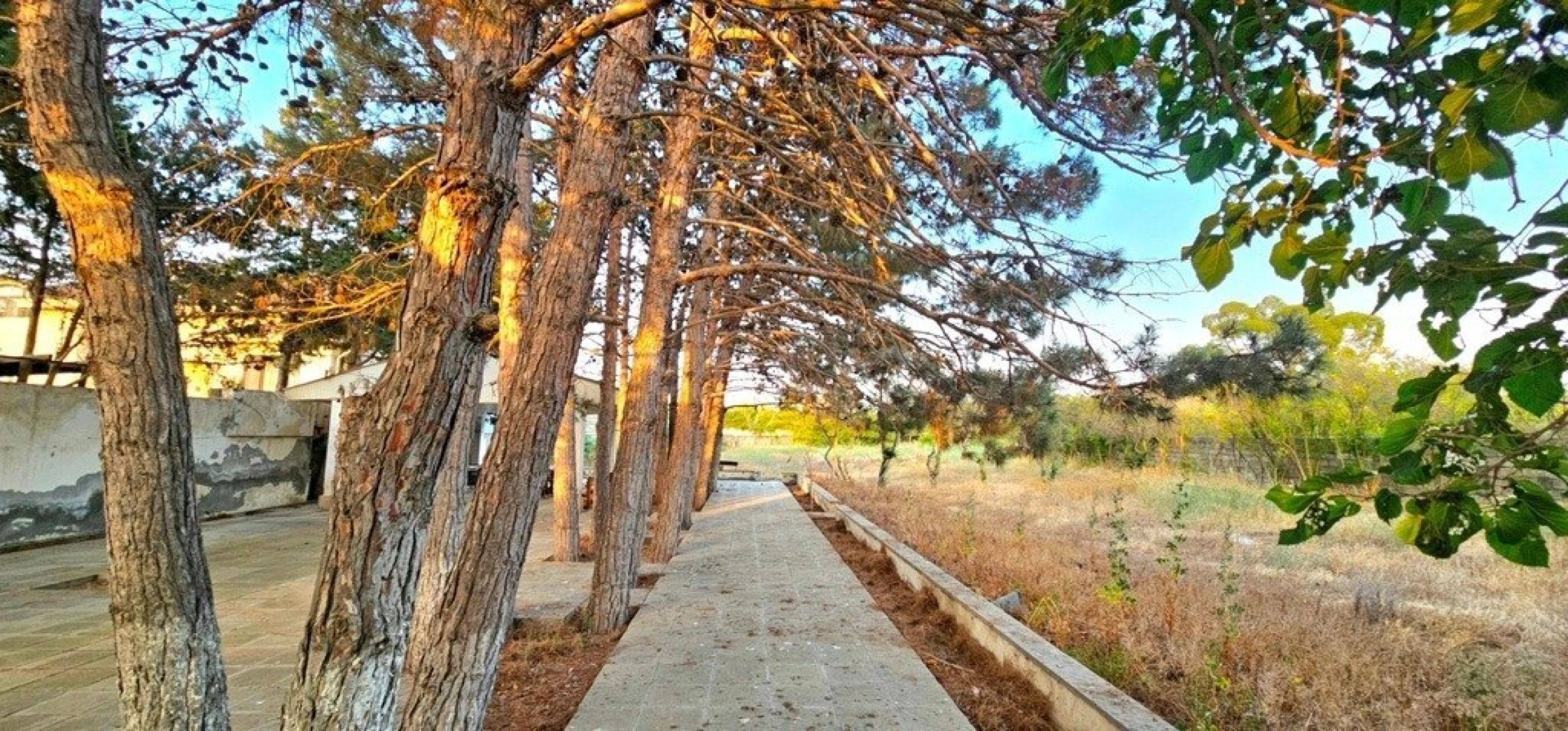 Satılır torpaq sahəsi 25 m²