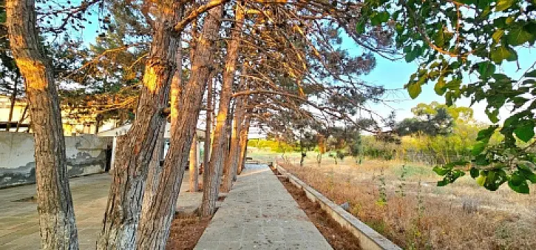 Satılır torpaq sahəsi 25 m²