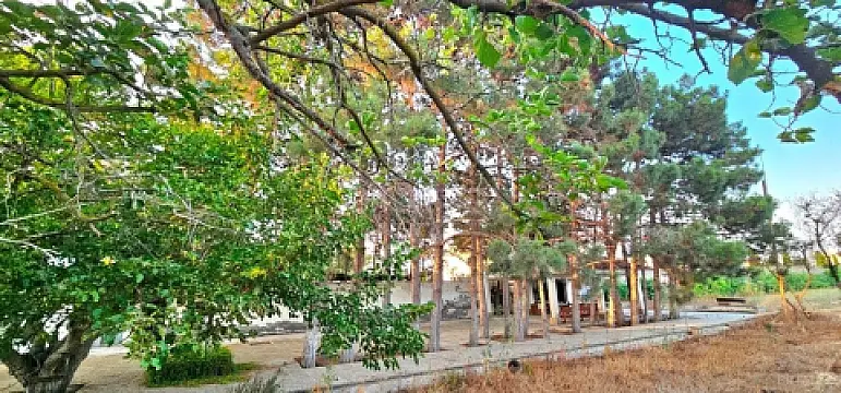 Satılır torpaq sahəsi 25 m²