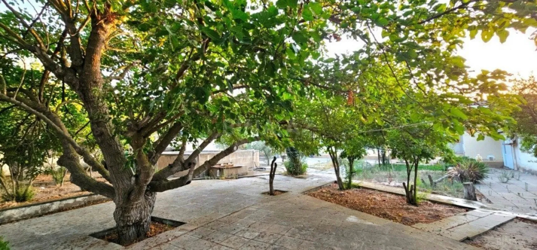 Satılır torpaq sahəsi 25 m²