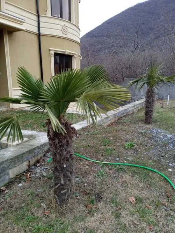 Satılır 5 otaqlı həyət evi 210 m²