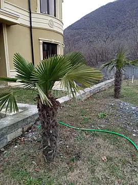 Satılır 5 otaqlı həyət evi 210 m²