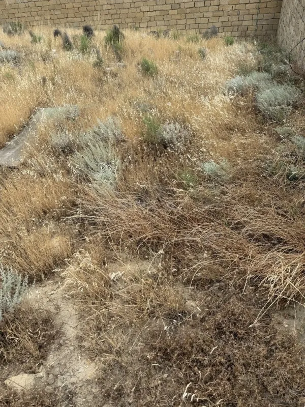 Satılır torpaq sahəsi 12 m²