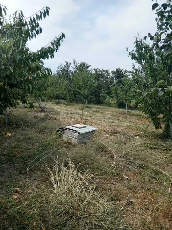 Satılır 3 otaqlı həyət evi 100 m²